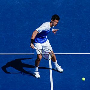 Archivo:Novak Djokovic Volley 01
