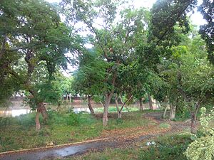 Archivo:Paseo Río Neverí en Barcelona, estado Anzoátegui, Venezuela.3