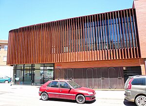 Archivo:Peralta - Casa de Cultura (Biblioteca y Auditorio) 4