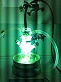 Photochemical immersion well reactor 50 mL