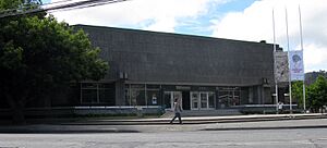 Archivo:Pinacoteca udec1