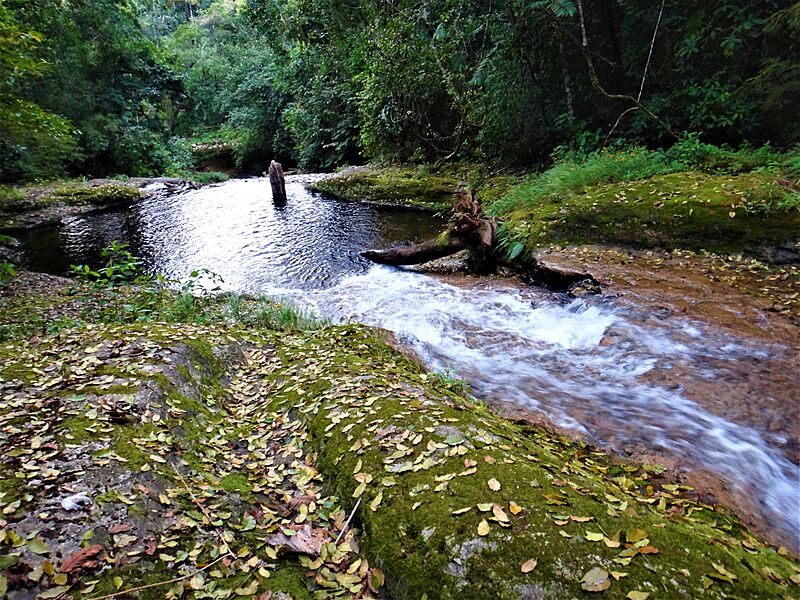 Pozas en el Amboró