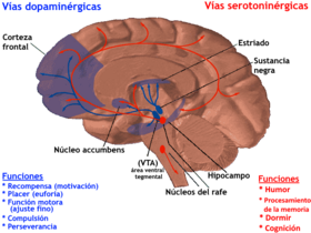 Archivo:Pubmed equitativa hormonal-es