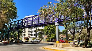 Archivo:Puente Ciclovía Norte, Cochabamba