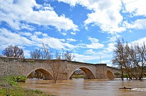 Archivo:Puente Duero