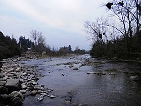 Río Claro (Tinguiririca).jpg
