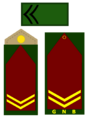 S1GNB