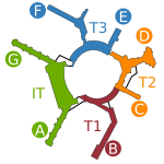 SFO Terminal Map