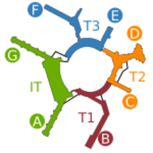 Archivo:SFO Terminal Map