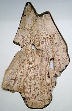 Archivo:Shang dynasty inscribed scapula