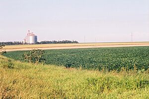Archivo:Soja y silos Paraguay 01