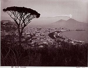 Archivo:Sommer, Giorgio (1834-1914) - n. 1167 - Napoli - Panorama (2)