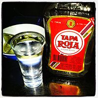 TAPA ROJA.jpeg