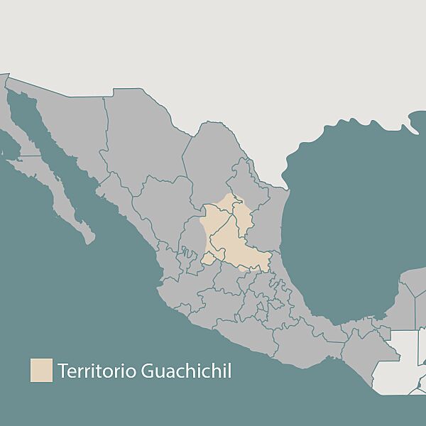 Territorio-guachichil