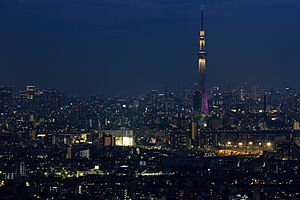 Archivo:Tokyo Skytree tower from i-link town (27713082902)