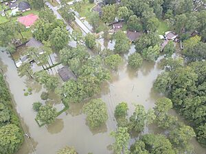 Archivo:Tropical Storm Imelda Flooding (48762813306)