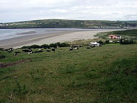 Archivo:View over Poppit Sands - geograph.org.uk - 890616