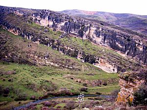 Archivo:Vista desde la entrada de la cueva del Reguerillo, enero de 2006 03