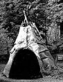 Wabanaki wigwam with birch bark covering