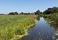 Wilnis, de Veldwetering vanaf de Wilnisse Zuwe foto14 2017-07-09 11.59