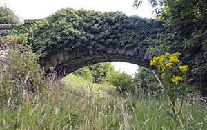 Archivo:Abandoned Railway Cutting in Otley