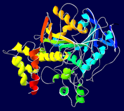 Archivo:Acetylcholinesterase-1EA5