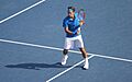 Backhand Federer