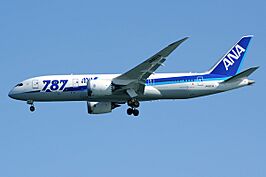 Boeing 787-8 Dreamliner, All Nippon Airways - ANA AN2081850.jpg