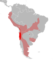 Distribución geográfica de Leopardus colocolo. En rojo la zona de distribución de la que podría ser especie endémica de Chile. Más claro, la distribución de la especie tomada en sentido amplio, según IUCN