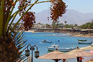 Archivo:Dahab View from dive shop
