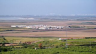 Dona-blanca.jpg