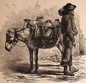 Archivo:El viajero ilustrado, 1878 602006 (3811371376)