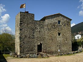 Estada Juvinya-Sant Joan les Fonts(Catalunya).jpg