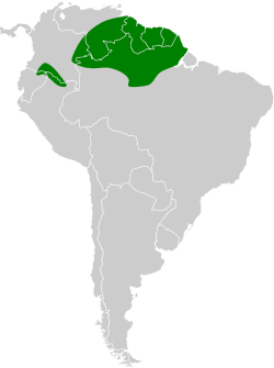 Distribución geográfica del tiluchí piojito.