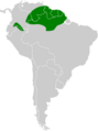 Euchrepomis spodioptila map