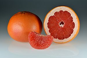Archivo:Grapefruits - whole-halved-segments