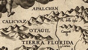 Archivo:Gutierrez-1562-detail-app1