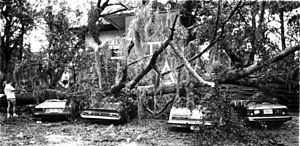 Archivo:Hurricane Kate damaged cars Tallahassee, Florida