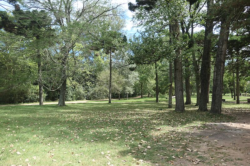 Inside park1