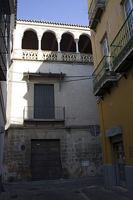 Juderia de Sevilla-Casa de los Pinelos 2-20110915.jpg