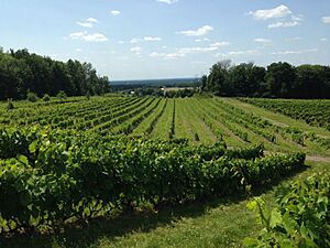 Archivo:La Route des vins de Brome-Missisquoi