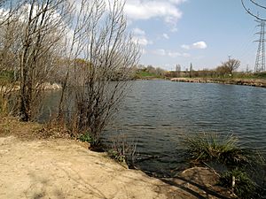 Archivo:Laguna de la Recomba