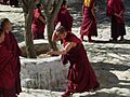 Lama debating