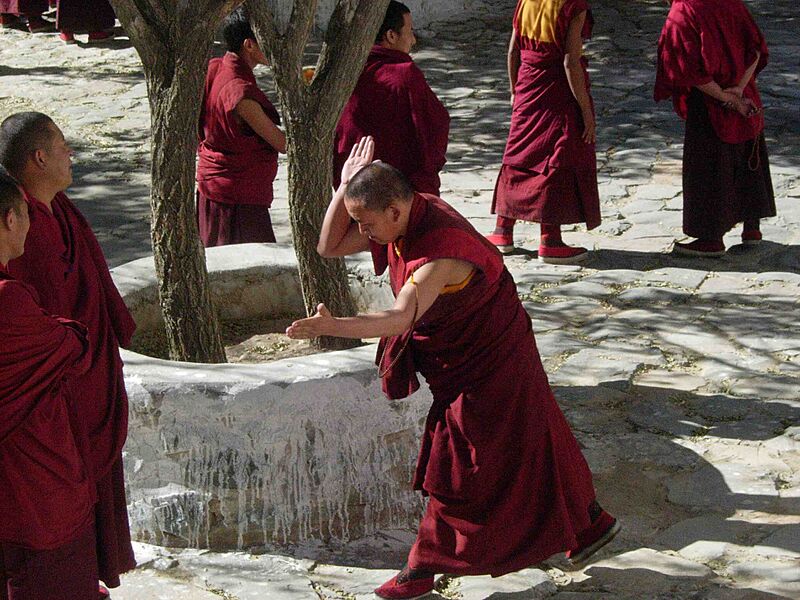 Lama debating