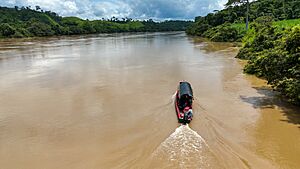 Archivo:Lancha de motor sobre el Río Usumacinta