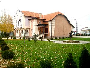 Archivo:Ndërtesa ku është vendosur Teatri i qytetit në Ferizaj 01