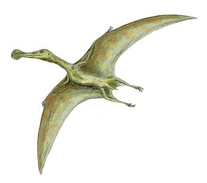 Archivo:Ornithocheirus BW