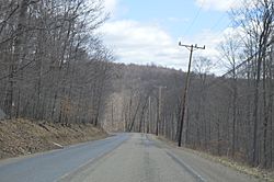 PA Route 46 in Otto Township.jpg