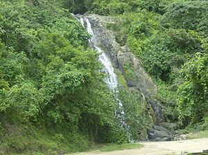 Archivo:Piraera,Lempira 6