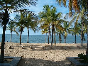 Archivo:Playa San Luis Cumana